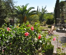 De tuin